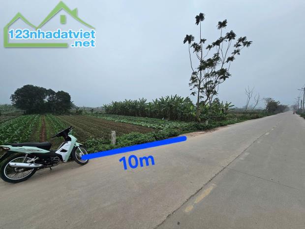 Bán 400m2 đất Yên Mỹ - Thanh Trì, mt 10m, trục chính ô tô tải tránh, Nhỉnh 1 tỉ - 1