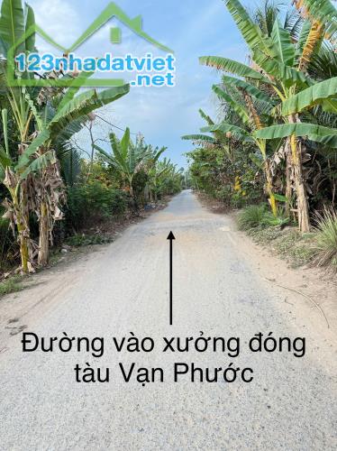 CHÍNH CHỦ CẦN BÁN 2 LÔ ĐẤT LIỀN KỀ TẠI ẤP AN HÒA - XÃ AN PHÚ TÂN - CẦU KÈ - TRÀ VINH. - 3