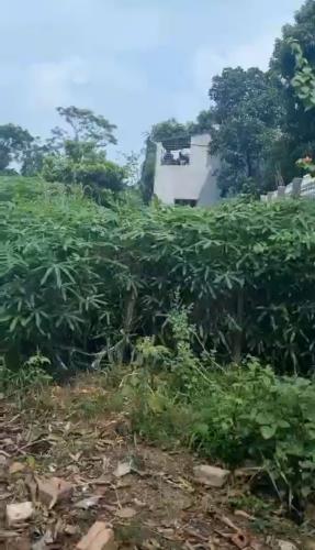 ĐẤT ĐẸP - GIÁ TỐT - Vị Trí Đắc Địa Tại Khu 4 ( Mới) Xã Thanh Đình, Thành phố Việt Trì , - 3