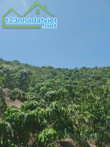Bán Lô Đất đất Thôn 5 Đắc Măng,  Đa San, Đam Rong, Lâm Đồng. - 1