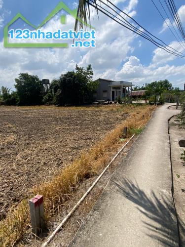 Bán 341 Đất Thổ Long Hoà Cần Đước Giá 2tr/m - 3
