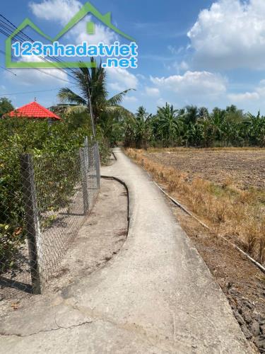 Bán 341 Đất Thổ Long Hoà Cần Đước Giá 2tr/m - 1