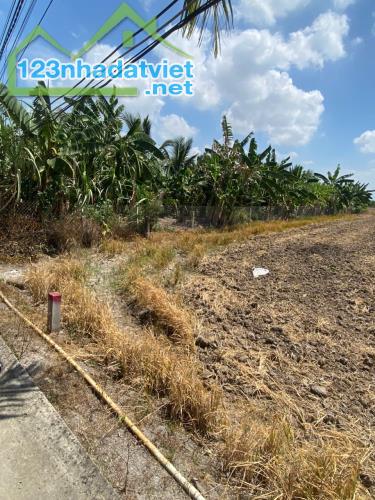 Bán 341 Đất Thổ Long Hoà Cần Đước Giá 2tr/m
