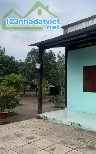 Tôi cần bán nhanh miếng đất ở Cai Lậy Tiền Giang diện tích 2112,7m với giá 2.550 tỷ - 2