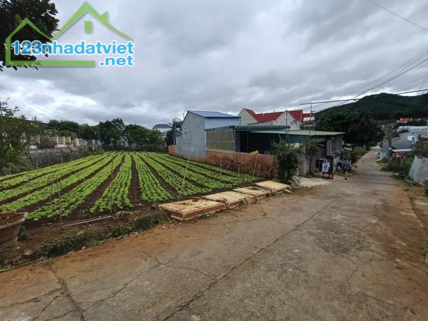 Đất nền trung tâm Liên Nghĩa, gần sân bay Liên Khương Đức Trọng Lâm Đồng