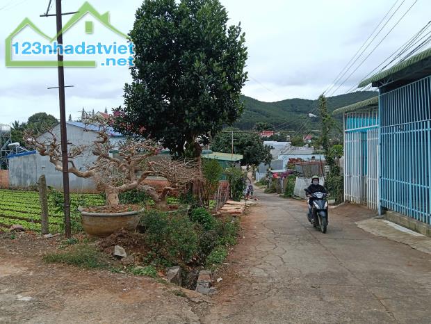 Đất nền trung tâm Liên Nghĩa, gần sân bay Liên Khương Đức Trọng Lâm Đồng - 2