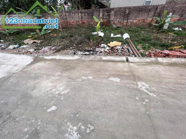 Bán đất Vệ Linh, Phù Linh, Sóc Sơn 45m2, MT5m ô tô ngủ đất chỉ nhỉnh tỷ xíu - 2