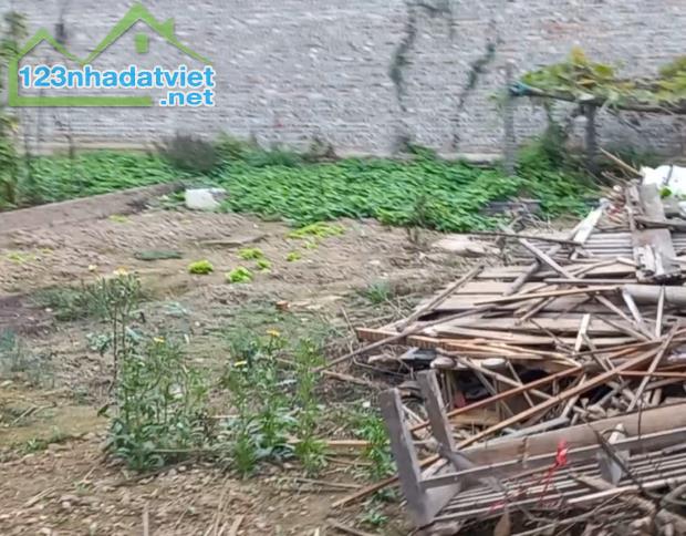 Bán đất 73m² tại hoài thượng  thuận thành bắc ninh - 5