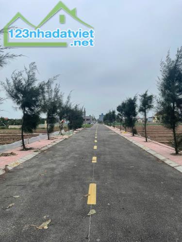 Chính chủ cần bán lô đất biển Quất Lâm, Nam Định. Vị trí trung tâm, gần bãi tắm. Giá Rẻ - 4