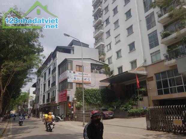 Mặt phố Vip Đốc Ngữ, lên 7T thang máy, KD dòng tiền đỉnh, dt 48m2 mt4m, 12 tỷ - 1