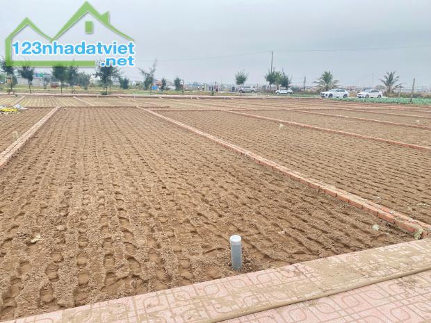 Cần Bán Đất Tại Bãi Biển Quất Lâm- Huyện Giao Thuỷ -Nam Định