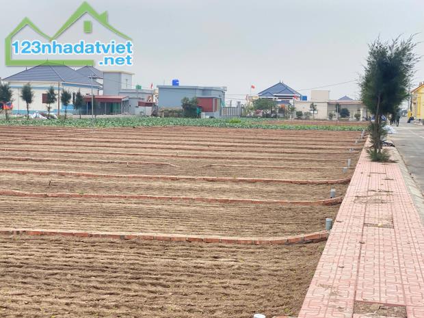 Cần Bán Đất Tại Bãi Biển Quất Lâm- Huyện Giao Thuỷ -Nam Định - 2