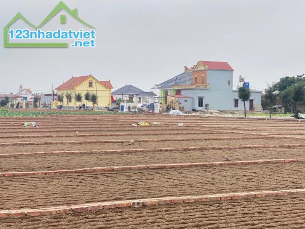 Cần Bán Đất Tại Bãi Biển Quất Lâm- Huyện Giao Thuỷ -Nam Định - 3
