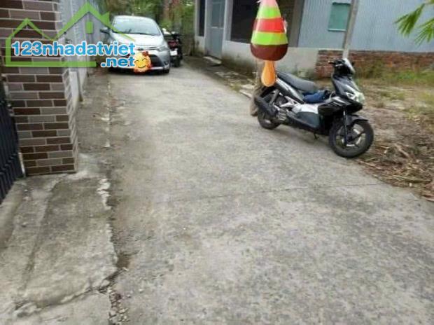 Bán đất Bến Tre 101m có thổ cư đường ô tô - 3