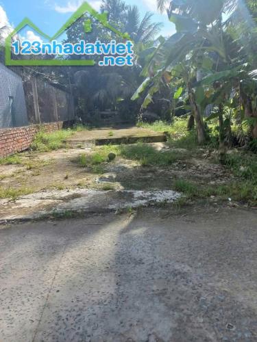 Bán đất Bến Tre 101m có thổ cư đường ô tô - 2