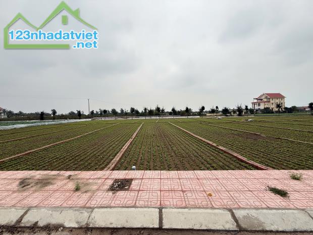 Chỉ từ 8 triệu/m2 bán đất trung tâm thị trấn Quất lâm giao thủy gần quảng trường biển - 4