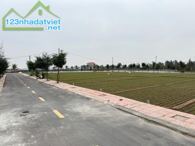 Chỉ từ 8 triệu/m2 bán đất trung tâm thị trấn Quất lâm giao thủy gần quảng trường biển - 3