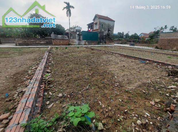 Đất Thanh Trí, 100m2, mt6m, chỉ 2 tỷ, ô tô vào tận cửa, Sóc Sơn. - 2