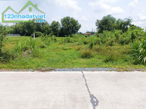 Bán đất đường 646 - 418m2 - 15x35 cạnh 25m - 277m2 thổ cư - xã Phước Thạnh - Củ Chi - 4