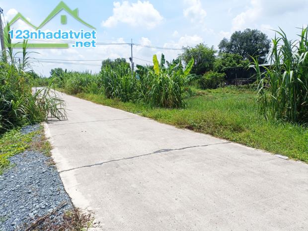 Bán đất đường 646 - 418m2 - 15x35 cạnh 25m - 277m2 thổ cư - xã Phước Thạnh - Củ Chi - 3