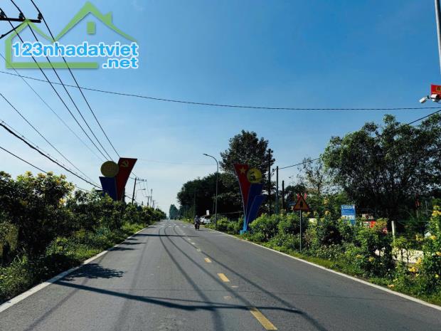 Bán Đất Mặt Tiền Xã Văn Cội Củ Chi, Diện Tích 121m2, Sổ Hồng Riêng - 3