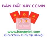 🏡 BÁN ĐẤT XÂY CCMN NGÕ CỔ NHUẾ – 60M² – MẶT TIỀN 3.9M – GIÁ 10.9 TỶ