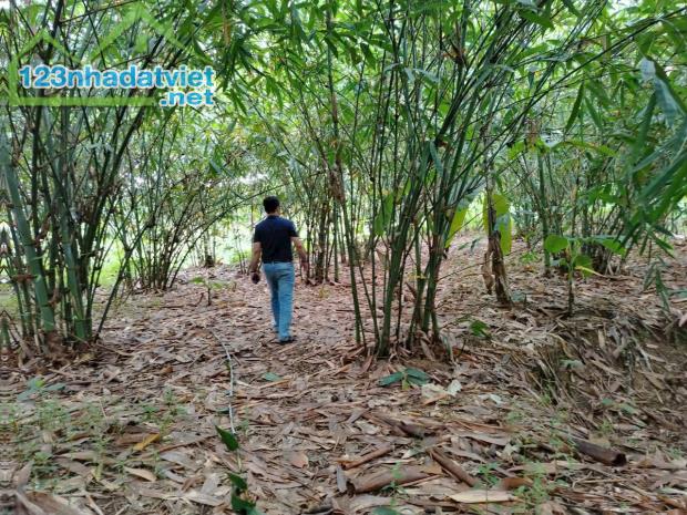 Hoà Vang Đà Nẵng - Đất Đẹp Mặt Tiền Sông, Tiềm Năng Sinh Lời Cao