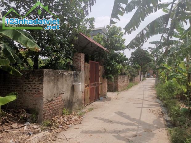 Bán đất xây biệt thự , Thống Nhất - Cự Khối - 128m2 - 4 1tỷ. - 1