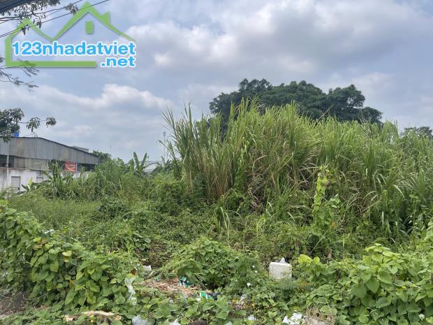 BÁN NỀN MẶT TIỀN HOÀNG QUỐC VIỆT, P AN BÌNH, NINH KIỀU, TPCT - 2