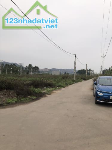 Chính Chủ Bán Lô Đất Dịch Vụ,Nội Hoàng, Yên Dũng, Bắc Giang - 1