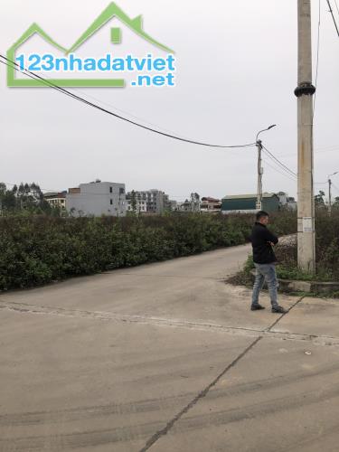 Chính Chủ Bán Lô Đất Dịch Vụ,Nội Hoàng, Yên Dũng, Bắc Giang - 2