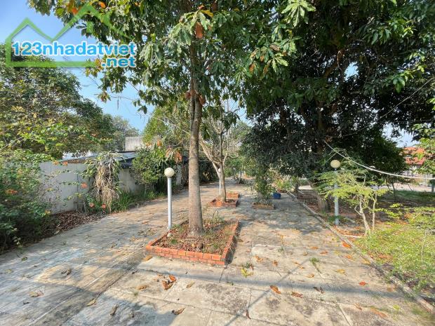 Bán đất đường Tỉnh Lộ 15 - 914m2 - 10x85 - 150m2 thổ cư - xã An Phú - Củ Chi - 1