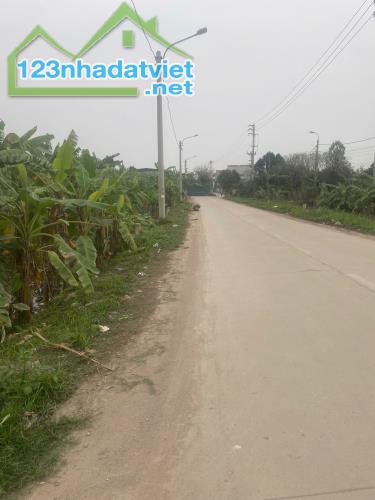 Bán 376m2 đất Yên Mỹ - Thanh Trì, mt 8.6m, ô tô đỗ cửa, Chỉ 1.05 tỷ