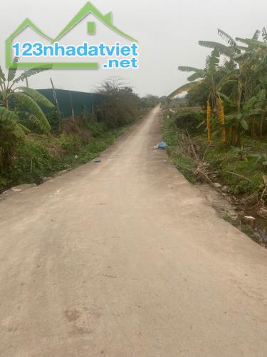 Bán 376m2 đất Yên Mỹ - Thanh Trì, mt 8.6m, ô tô đỗ cửa, Chỉ 1.05 tỷ - 1