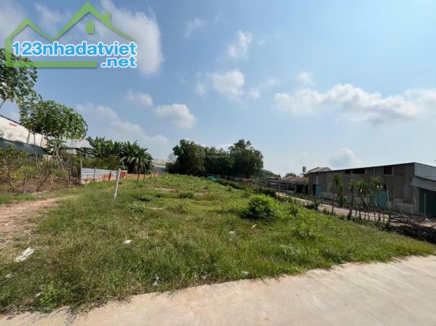 Bán đất đẹp, giá tốt tại Vĩnh Thanh, Nhơn Trạch, Đồng Nai, nhỉnh 5 tỷ, 1007m2 - 1