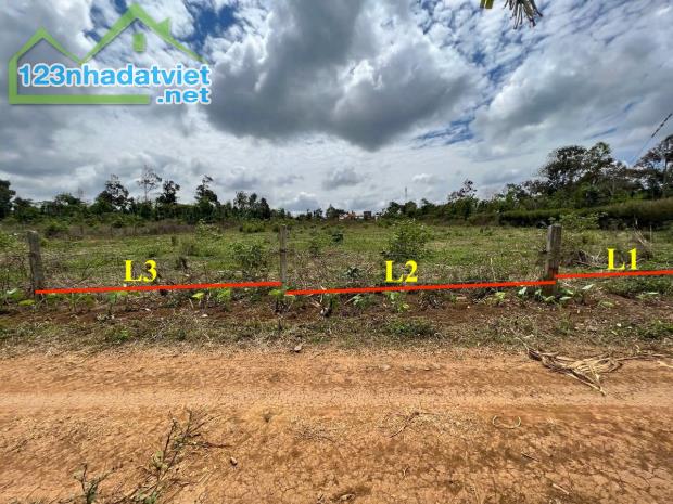 Bán 147m² Tara Hòa Đông – Gần Quốc Lộ, Cao Tốc – Full Thổ Cư