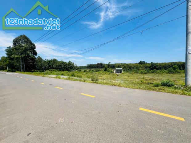 Cần bán gấp 1000m2(20*50) có thổ cư mặt tiền đường ĐH504, Phú Giáo, Bình Dương giá ngộp