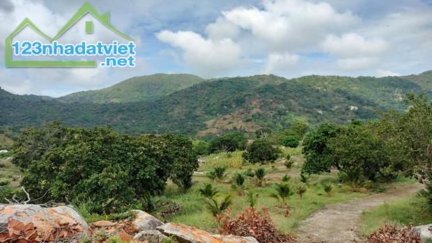 Bán trang trại view đẹp tại Xã Tân Lập, Hàm Thuận Nam, Bình Thuận, 30 tỷ, 225000 m2
