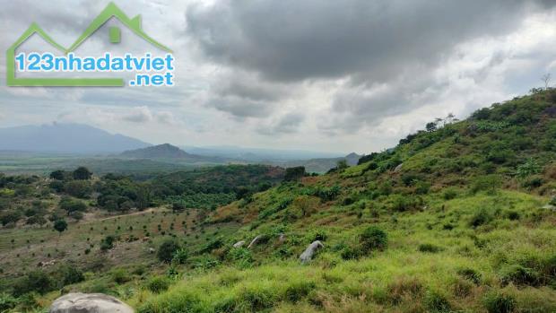 Bán trang trại view đẹp tại Xã Tân Lập, Hàm Thuận Nam, Bình Thuận, 30 tỷ, 225000 m2 - 1