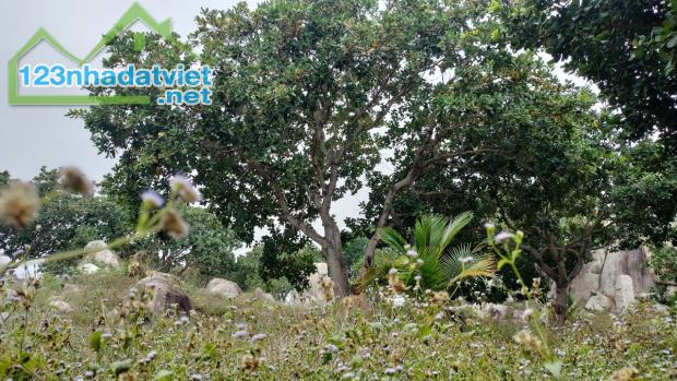 Bán trang trại view đẹp tại Xã Tân Lập, Hàm Thuận Nam, Bình Thuận, 30 tỷ, 225000 m2 - 3