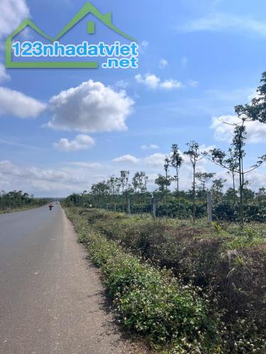 Eaktur - Cưkuin đất lk 1 ha diện tích bám mặt đường tránh đông dài miên man