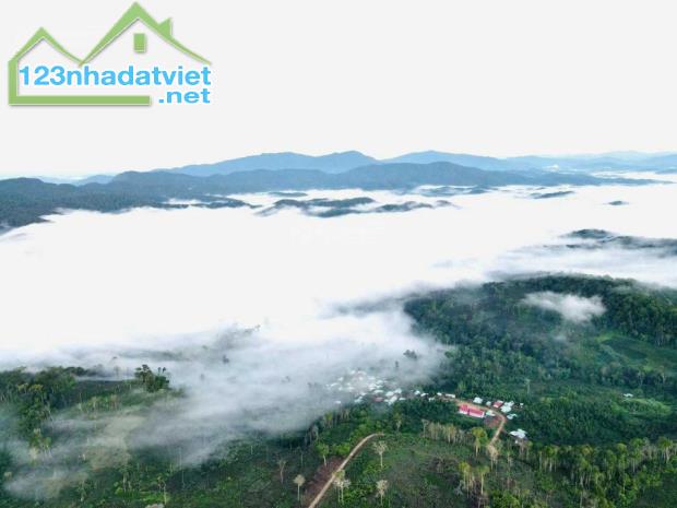 BÁN 245M2 ĐẤT THỔ CƯ MẶT TIỀN QL24 NẰM GIỮA TRUNG TÂM MĂNG ĐEN-KON TUM - 2