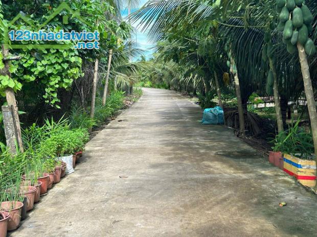 Bán vài nền đất đường oto Tân Mỹ Chánh, Mỹ Tho Tiền Giang
