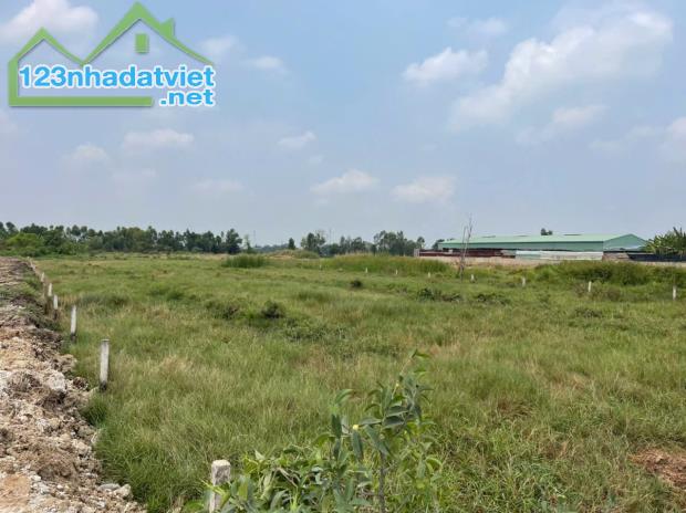 3129m2 đất vườn thích hợp xây kho bãi ở xã Lương Hòa, Bến Lức giá 8,5 tỷ - 3