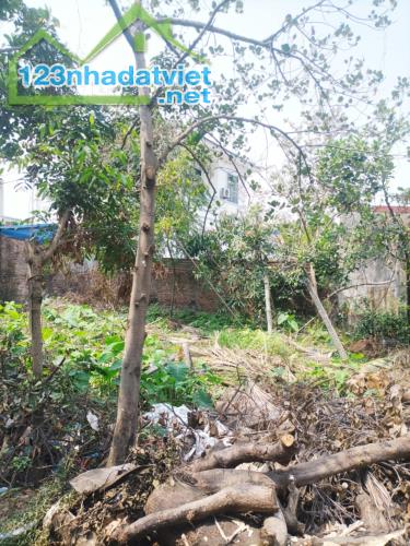 Chỉ với hơn 1,x tỷ sở hữu lô đất vị trí đẹp, thuận tiện tại Trung tâm Đồng Hoà - 1