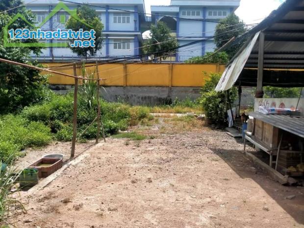 BÁN LÔ ĐẤT ĐẸP 85M2 -GIÁ 1 TỶ 250 - TÂN THẠNH ĐÔNG - GIÁ ĐẦU TƯ