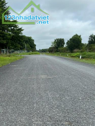 CHỦ CẦN BÁN GẤP LÔ ĐẤT 174 m2, ĐƯỜNG NHỰA TẠI PHƯỚC VĨNH AN, CỦ CHI. - 3