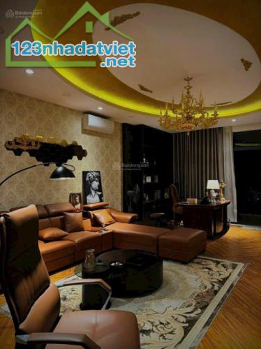 Nhà phố siêu đẹp mới xây 3 lầu sân thượng đường số Phạm Hữu Lầu, Quận 7 - 1