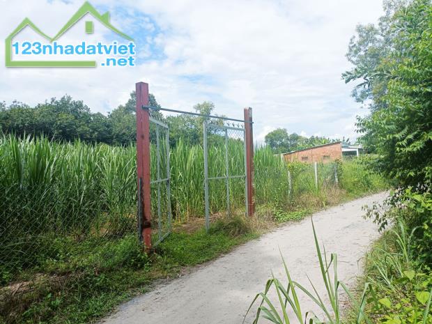 Bán đất đường Đỗ Thị Có - 1187m2 - 20x56 nở hậu 23m - xã An Phú - Củ Chi