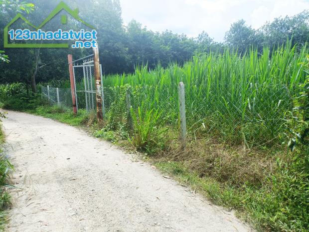 Bán đất đường Đỗ Thị Có - 1187m2 - 20x56 nở hậu 23m - xã An Phú - Củ Chi - 1